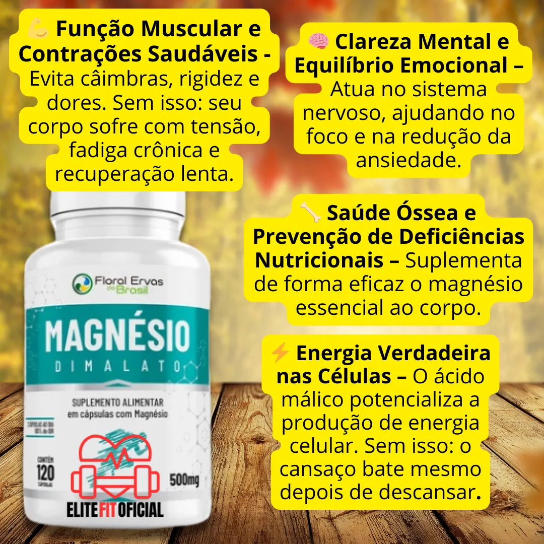 Suplemento para foco, disposição e bem-estar diário